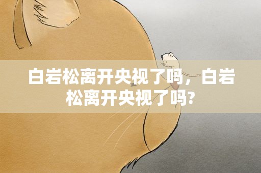 白巖松離開央視了嗎，白巖松離開央視了嗎?